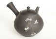 Photo3: Tokoname Japanese tea pot kyusu YT black butterfly sakura Seiho 180ml