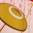Photo2: Noren Japanese Curtain Doorway NM SD wagasa sakura cherry 85 x 150 cm (2)