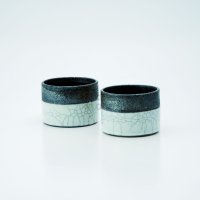 Shigaraki wabe Japanese pottery sake cup tumbler kannyu 180ml set of 2