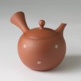 Photo1: Tokoname tea pot kyusu Jinsui Kiwami shudei red sakura cherry 270ml (1)