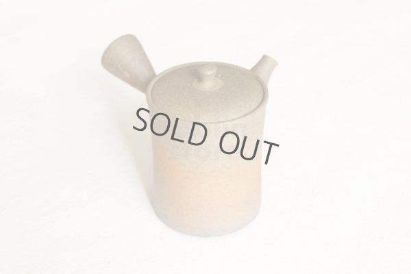 Photo1: Tokoname ware Japanese tea pot Gyokko ceramic tea strainer yakishime st 230ml