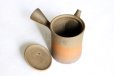 Photo10: Tokoname ware Japanese tea pot Gyokko ceramic tea strainer yakishime st 230ml