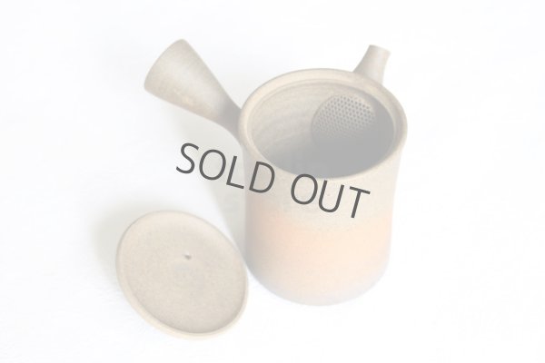 Photo10: Tokoname ware Japanese tea pot Gyokko ceramic tea strainer yakishime st 230ml