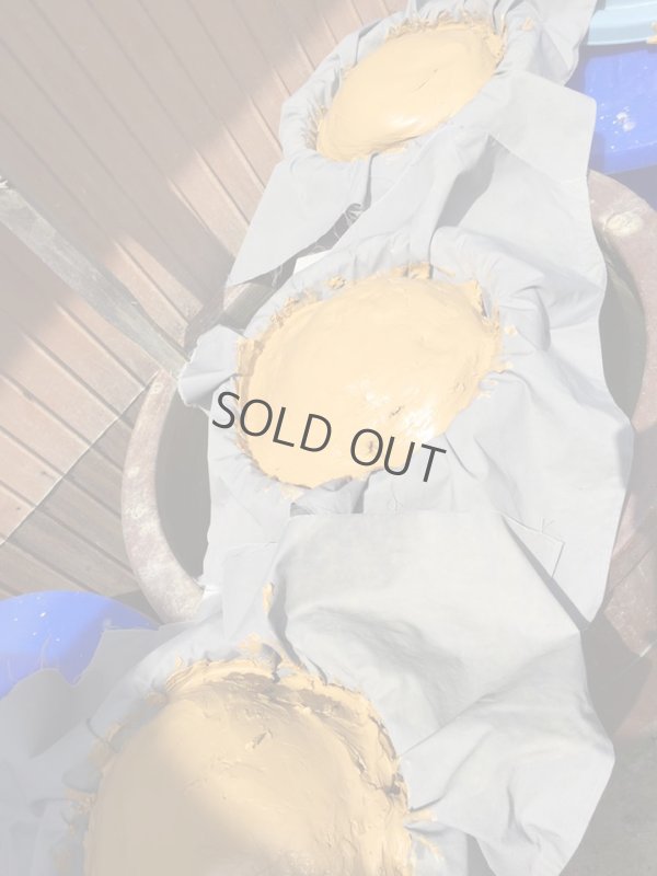 Photo13: Tokoname Shiboridashi Japanese tea pot red shudei oxidized fire Gafu Ito 90ml