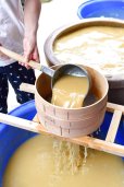 Photo15: Tokoname Kyusu Japanese tea pot yakishime round Gafu Ito 220ml 