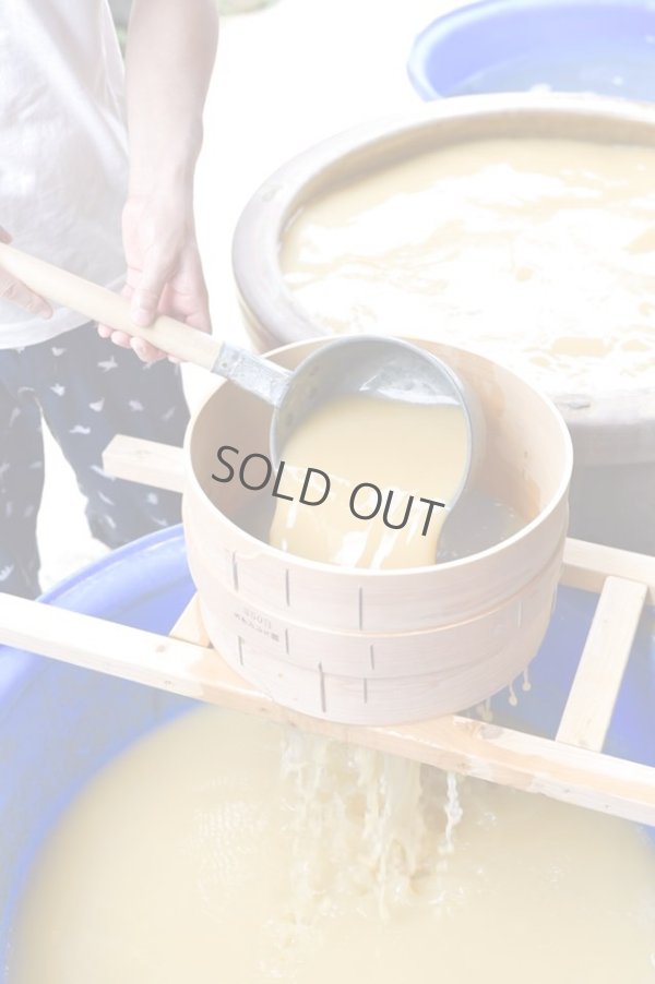 Photo12: Tokoname Shiboridashi Japanese tea pot red shudei oxidized fire Gafu Ito 90ml