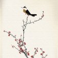 Japanese bush warbler