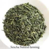 Natural farming Premium Sencha Japanese green tea Watarai Ise 100g