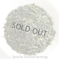 Natural farming Premium Sencha Japanese green tea Watarai Ise 100g