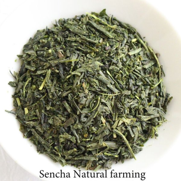 Photo1: Natural farming Premium Sencha Japanese green tea Watarai Ise 100g
