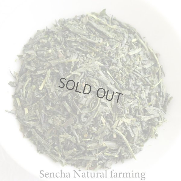 Photo1: Natural farming Premium Sencha Japanese green tea Watarai Ise 100g