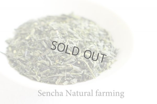 Photo2: Natural farming Premium Sencha Japanese green tea Watarai Ise 100g
