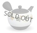 Tokoname Japanese tea pot kyusu YT Shohou grapes white 320ml