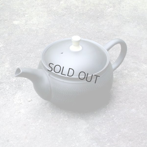 Photo6: Tokoname Japanese tea pot Gyokuryu ceramic tea strainer tsumami-w black 290ml