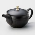 Photo5: Tokoname Japanese tea pot Gyokuryu ceramic tea strainer tsumami-w black 290ml