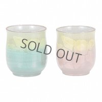 Kutani Porcelain Yunomi Ginzan Chabana flower Japanese tea cup (set of 2)