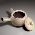 Photo4: Hagi ware Senryuzan climbing kiln Japanese tea pot kyusu 360ml (4)