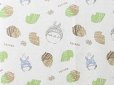 Photo3: Noren CSMO Japanese door curtain My Neighbor Totoro acorns 85 x 150 cm (3)