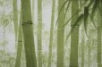 Photo3: Noren CSMO Japanese door curtain bamboo green 85 x 170cm