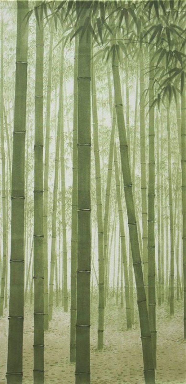 Photo2: Noren CSMO Japanese door curtain bamboo green 85 x 170cm