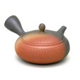 Photo2: Tokoname Japanese tea pot kyusu Isshin carved yohen 280ml (2)