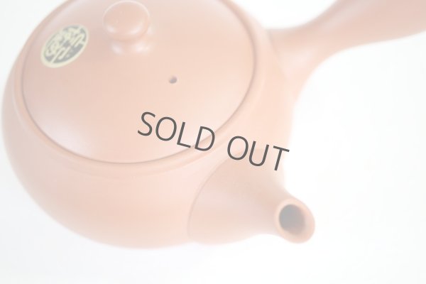 Photo10: Tokoname tea pot kyusu Jinsui Kiwami shudei red shin maru 250ml