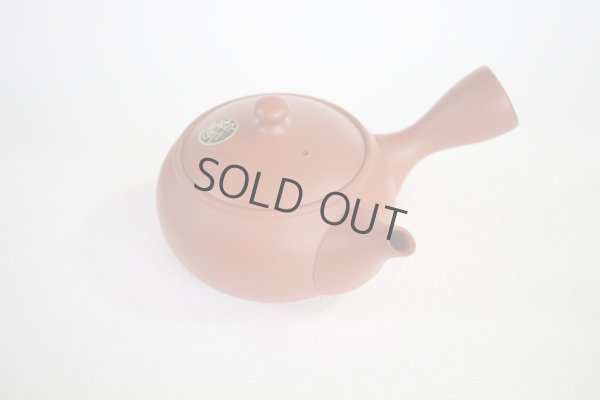 Photo6: Tokoname tea pot kyusu Jinsui Kiwami shudei red shin maru 250ml