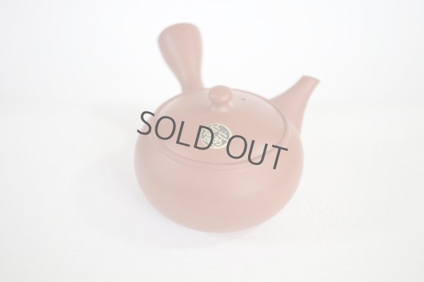 Photo5: Tokoname tea pot kyusu Jinsui Kiwami shudei red shin maru 250ml