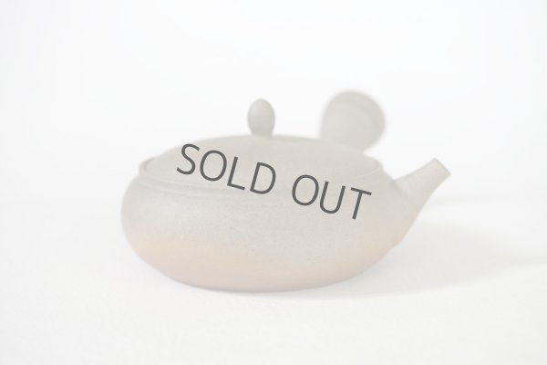 Photo3: Tokoname Japanese tea pot Gyokko pottery tea strainer flat shape yakishime 210ml