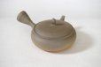 Photo4: Tokoname Japanese tea pot Gyokko pottery tea strainer flat shape yakishime 210ml