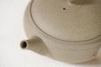 Photo8: Tokoname Japanese tea pot Gyokko pottery tea strainer flat shape yakishime 210ml