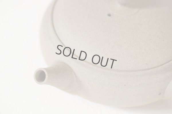 Photo8: Tokoname Japanese tea pot Gyokko pottery tea strainer flat shape yakishime 210ml