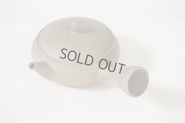 Photo7: Tokoname Japanese tea pot Gyokko pottery tea strainer flat shape yakishime 210ml