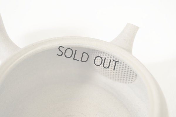 Photo5: Tokoname Japanese tea pot Gyokko pottery tea strainer flat shape yakishime 210ml