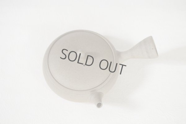 Photo9: Tokoname Japanese tea pot Gyokko pottery tea strainer flat shape yakishime 210ml