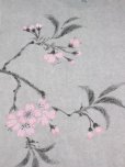 Photo2: Natural and Hand dyes Mitsuru unisexed T-shirt made in Japan cherry kakishibu (2)