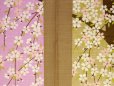 Photo6: Noren Japanese Curtain Doorway NM SD rabbit sakura cherry 85 x 150 cm