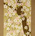 Photo4: Noren Japanese Curtain Doorway NM SD rabbit sakura cherry 85 x 150 cm