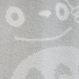 Photo5: Noren CSMO Japanese door curtain tapestry My Neighbor Totoro 88 x 140 cm (5)