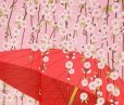 Photo3: Noren Japanese Curtain Doorway NM SD wagasa sakura cherry 85 x 150 cm (3)