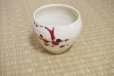 Photo11: Shigaraki pottery Japanese matcha tea bowl chawan ippuku red akae
