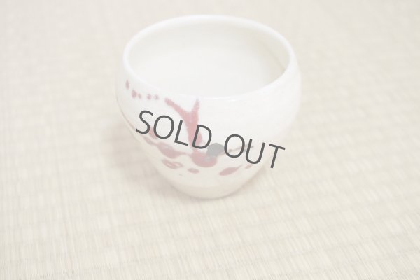 Photo11: Shigaraki pottery Japanese matcha tea bowl chawan ippuku red akae