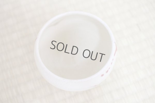 Photo9: Shigaraki pottery Japanese matcha tea bowl chawan ippuku red akae