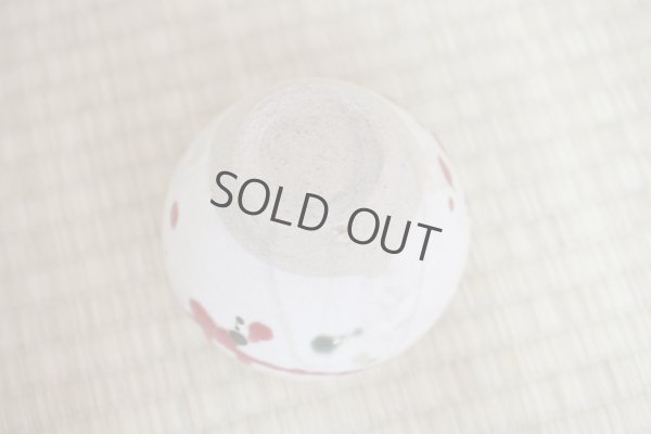 Photo8: Shigaraki pottery Japanese matcha tea bowl chawan ippuku red akae