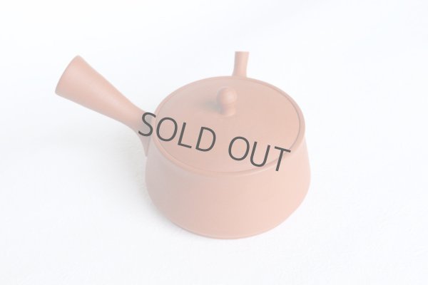 Photo9: Tokoname tea pot kyusu Gyokko pottery tea strainer red shudei flat hira 160ml