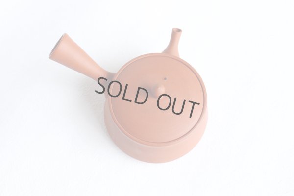 Photo6: Tokoname tea pot kyusu Gyokko pottery tea strainer red shudei flat hira 160ml