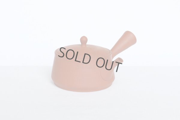 Photo4: Tokoname tea pot kyusu Gyokko pottery tea strainer red shudei flat hira 160ml