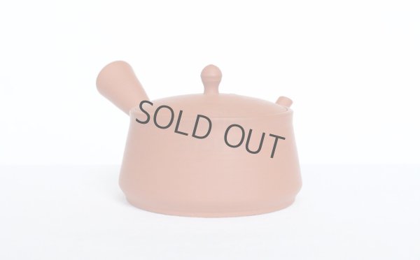 Photo3: Tokoname tea pot kyusu Gyokko pottery tea strainer red shudei flat hira 160ml