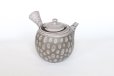 Photo1: Tokoname Japanese tea pot kyusu Kenji nerikomi gray clay 320ml (1)