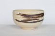 Photo1: Shigaraki yaki ware Japanese tea bowl Irabo Hakeme chawan Matcha Green Tea (1)